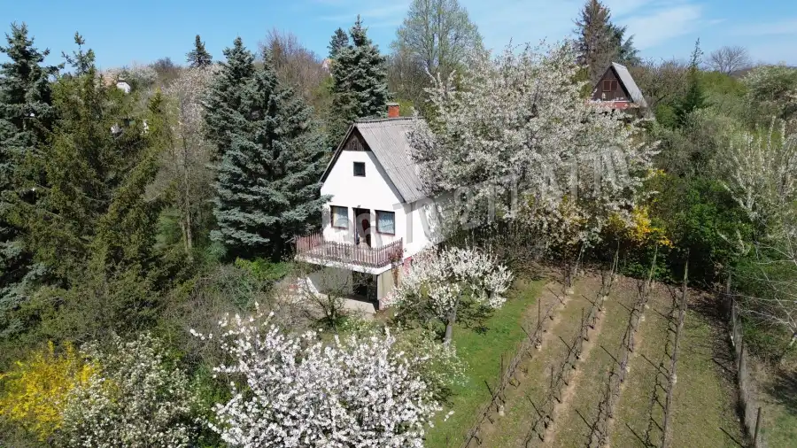 eladó nyaraló, Oroszlány