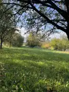 Komárom-Esztergom megye - Oroszlány