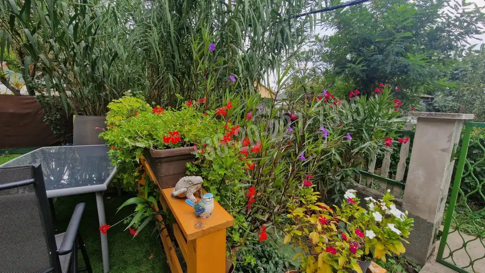 Pest megye - Ráckeve