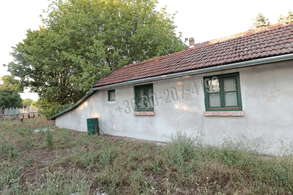 Csongrád megye - Sándorfalva