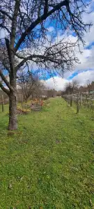 Komárom-Esztergom megye - Szomód