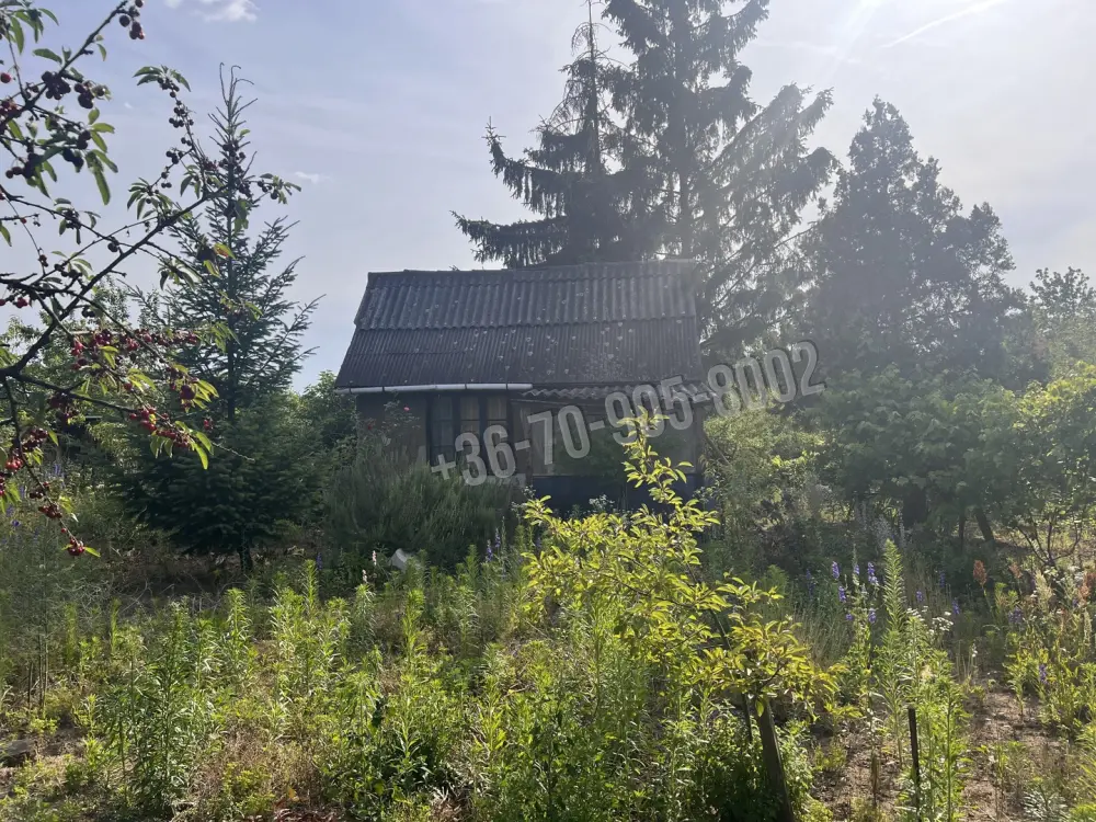 Komárom-Esztergom megye - Tatabánya