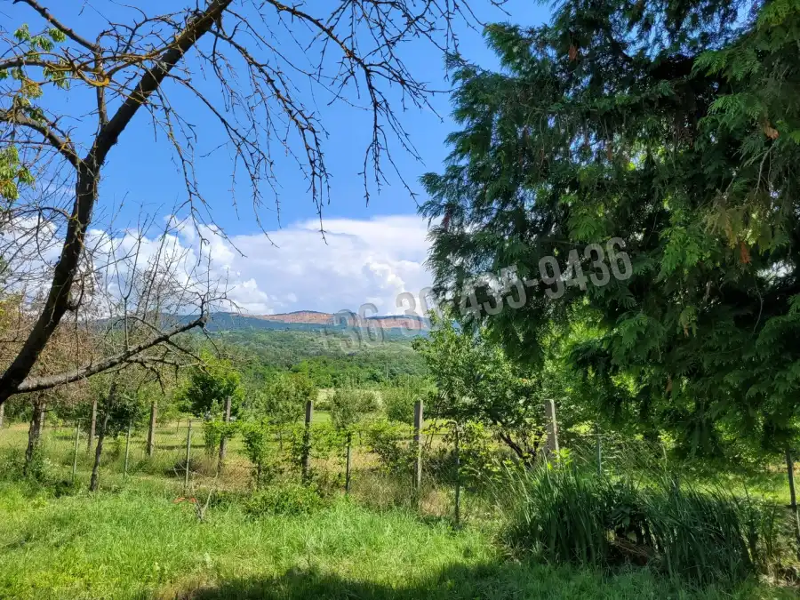 eladó nyaraló, Vác