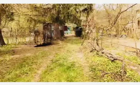 Eladó nyaraló, Verőce 1 szoba 20 m² 33.9 M Ft