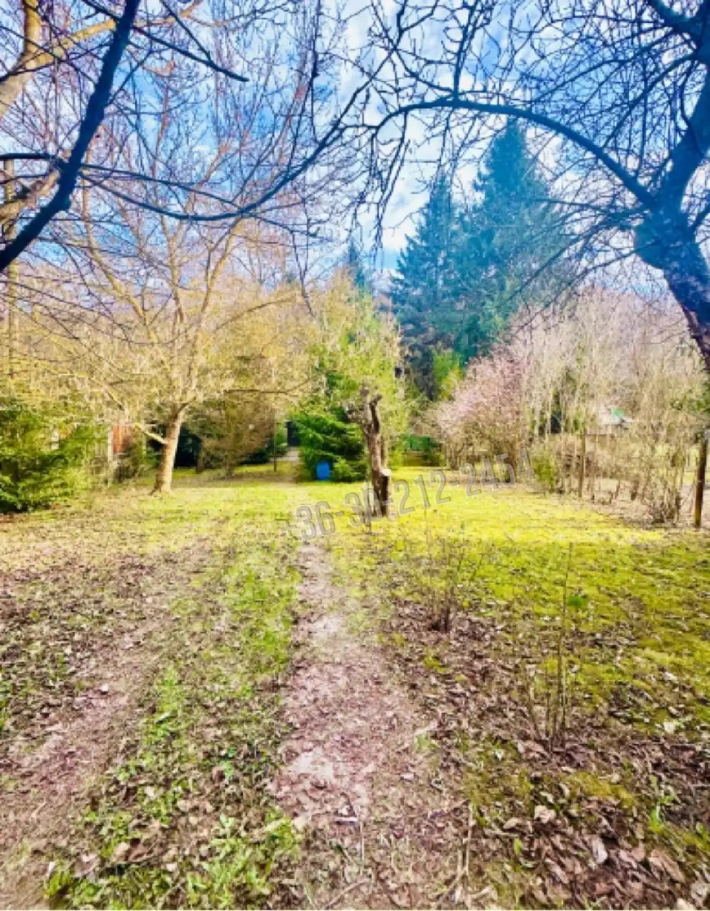 Pest megye - Verőce