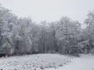 Pest megye - Verőce