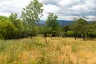 Pest megye - Verőce