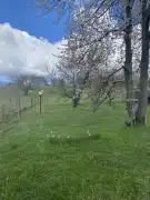 Komárom-Esztergom megye - Vértesszőlős