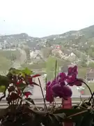 Pest megye - Budaörs