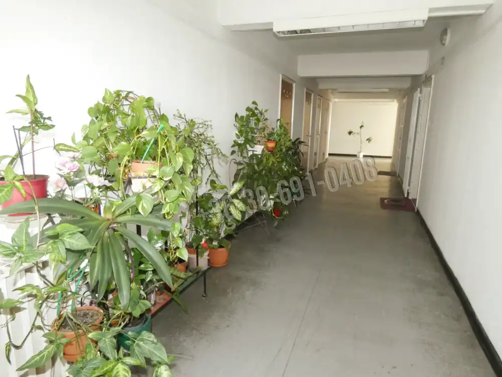 Budapest, XIV. kerület - Alsórákos