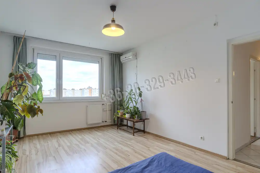 Budapest, XIX. kerület - Kispesti ltp.