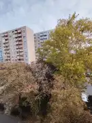 Fejér megye - Dunaújváros