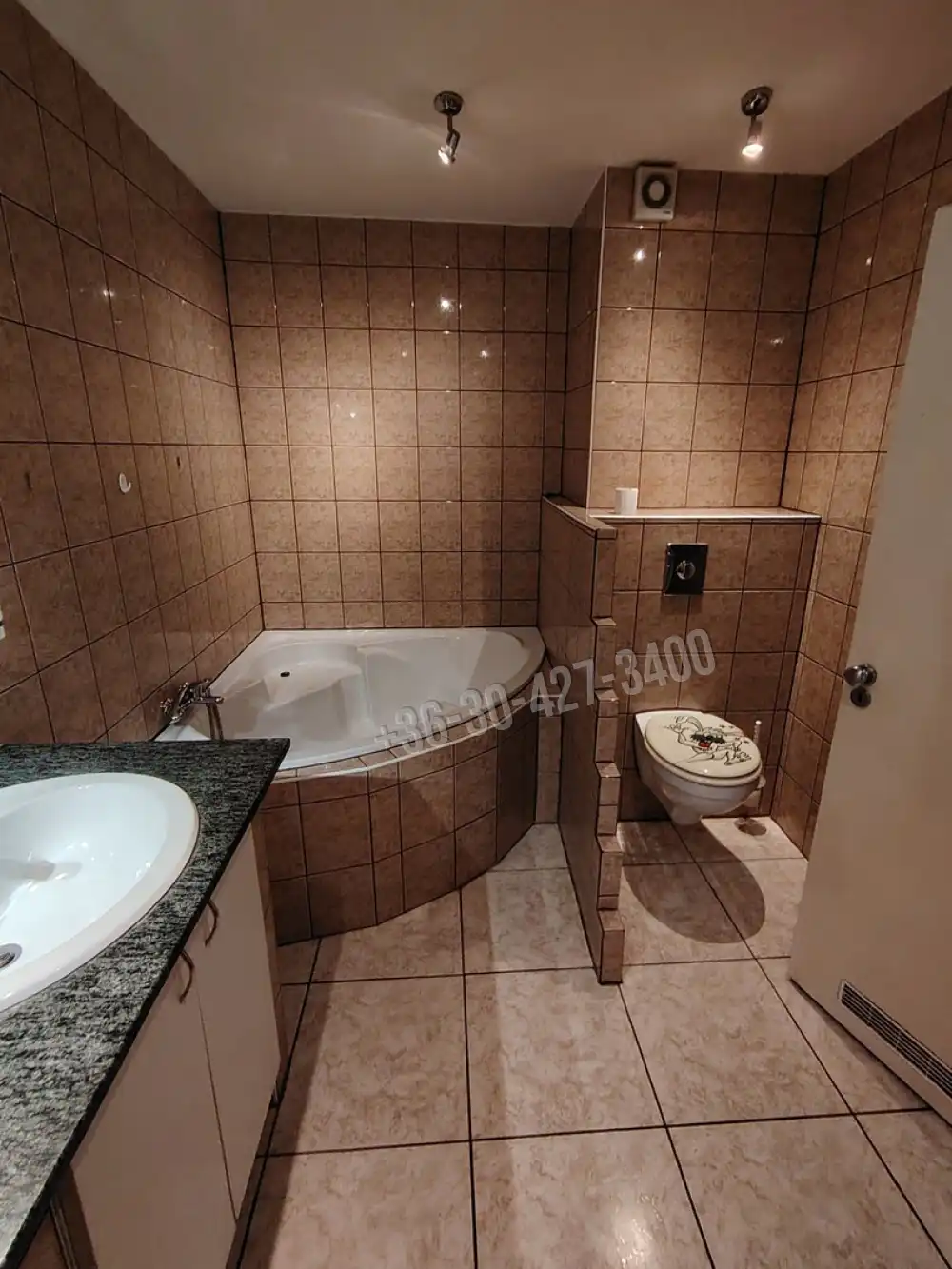 Fejér megye - Dunaújváros