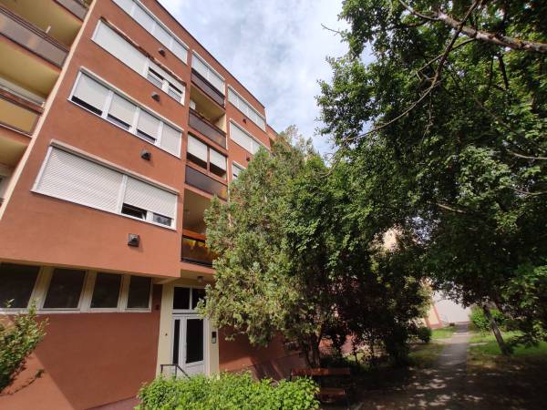 eladó panellakás, Hatvan