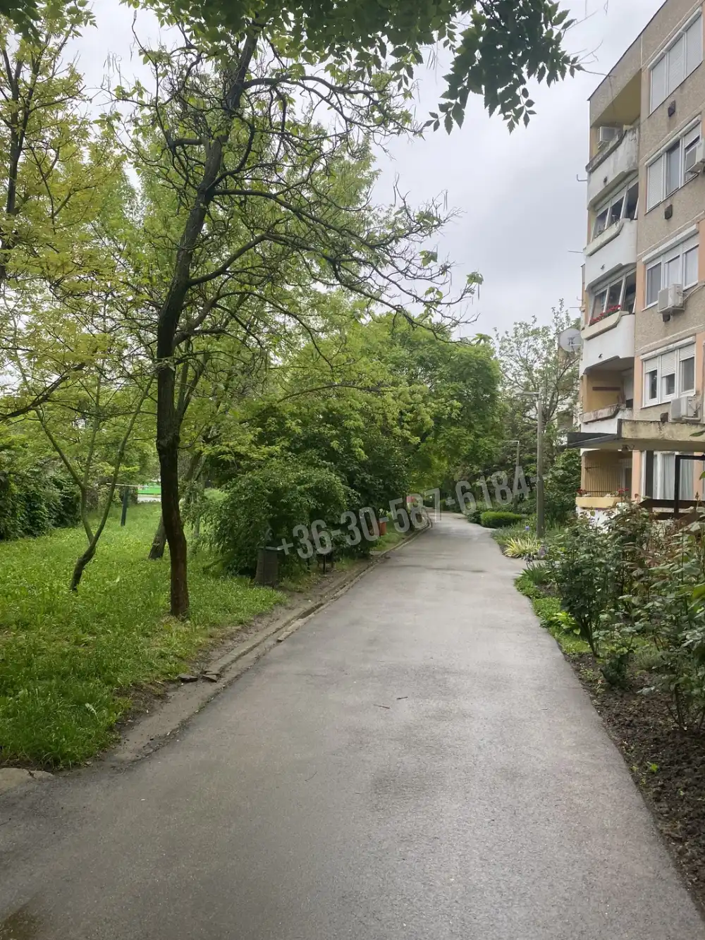 Jász-Nagykun-Szolnok megye - Karcag