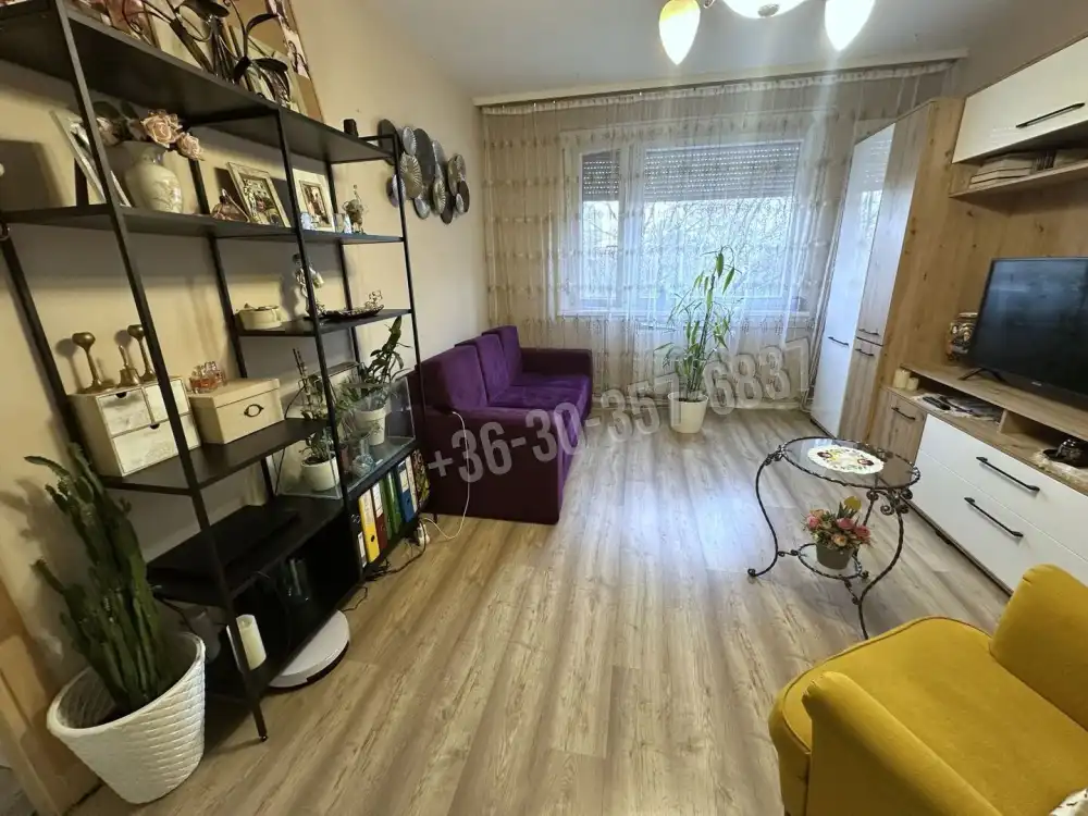 Csongrád megye - Szeged