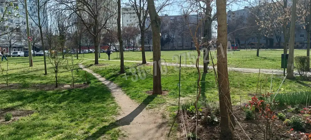 Csongrád megye - Szeged