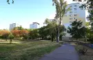 Csongrád megye - Szeged