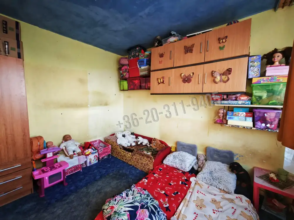 Csongrád megye - Szeged