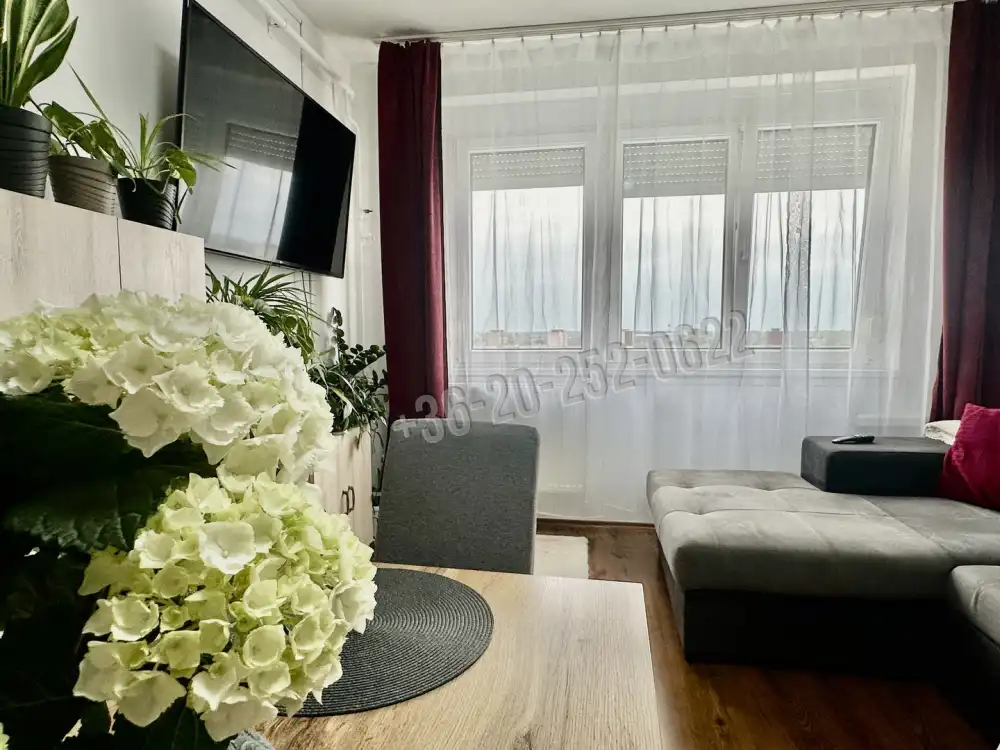 Fejér megye - Székesfehérvár