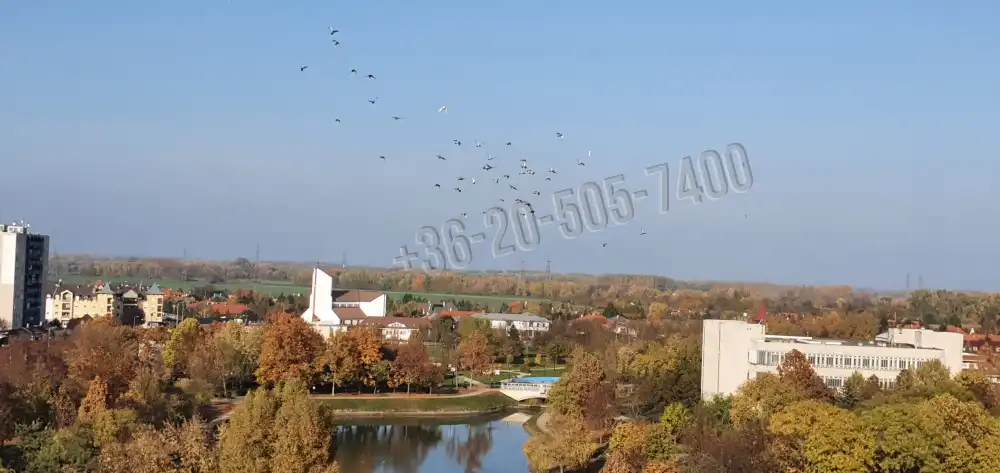 Borsod-Abaúj-Zemplén megye - Tiszaújváros