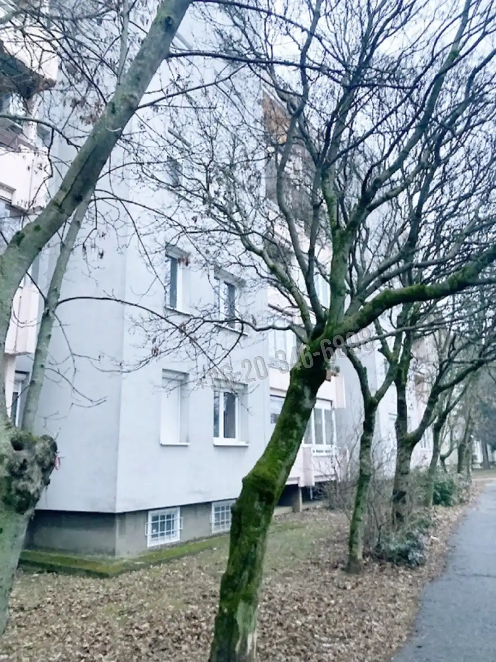 Veszprém megye - Veszprém