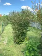 Békés megye - Békéscsaba