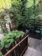 Pest megye - Gyömrő