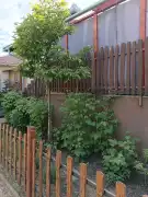 Pest megye - Gyömrő
