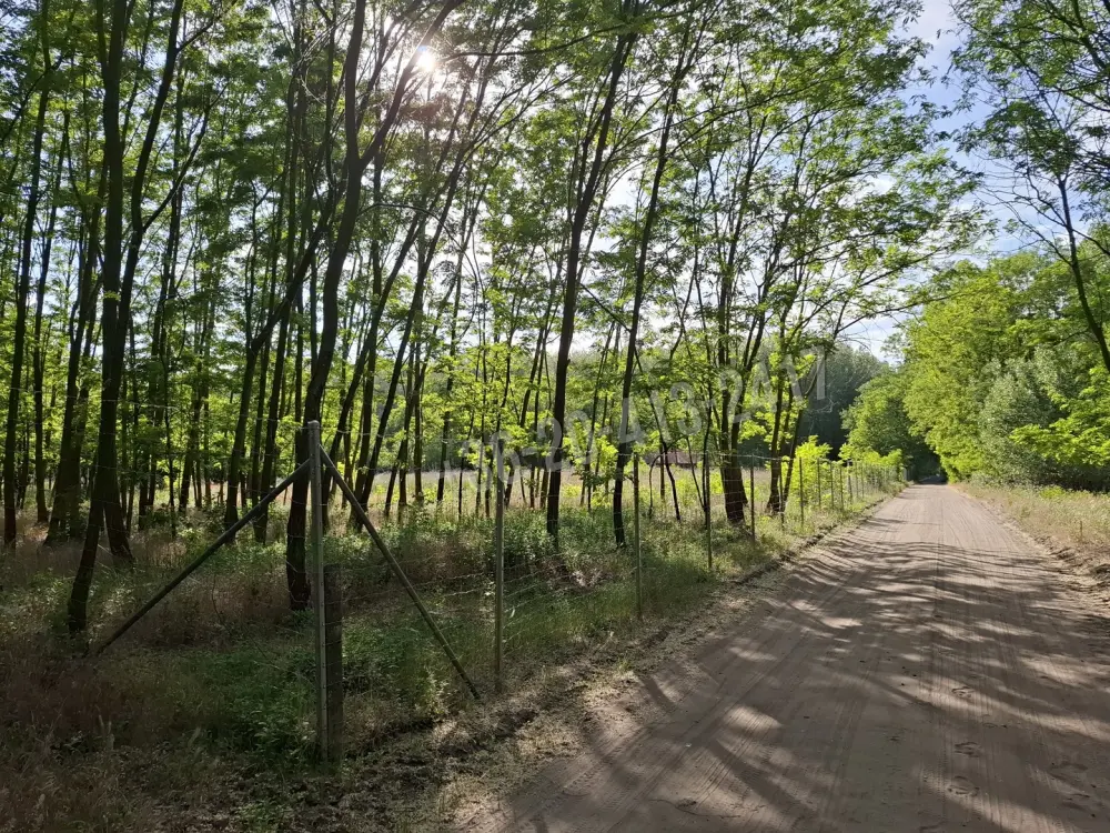 Pest megye - Albertirsa