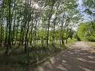 Pest megye - Albertirsa