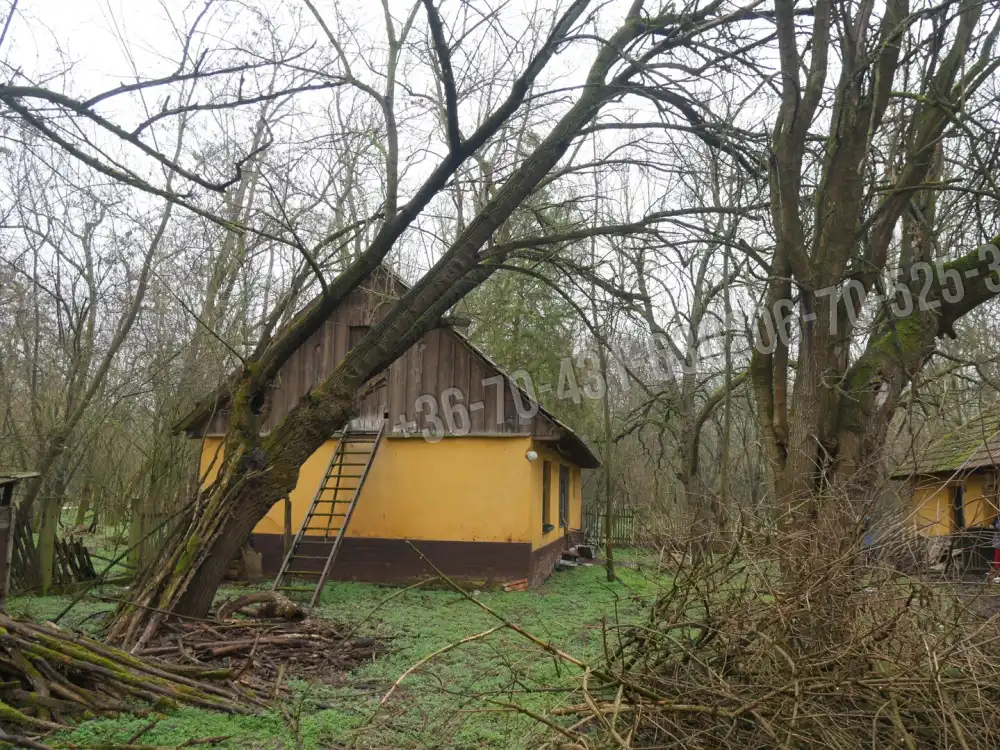 Pest megye - Albertirsa