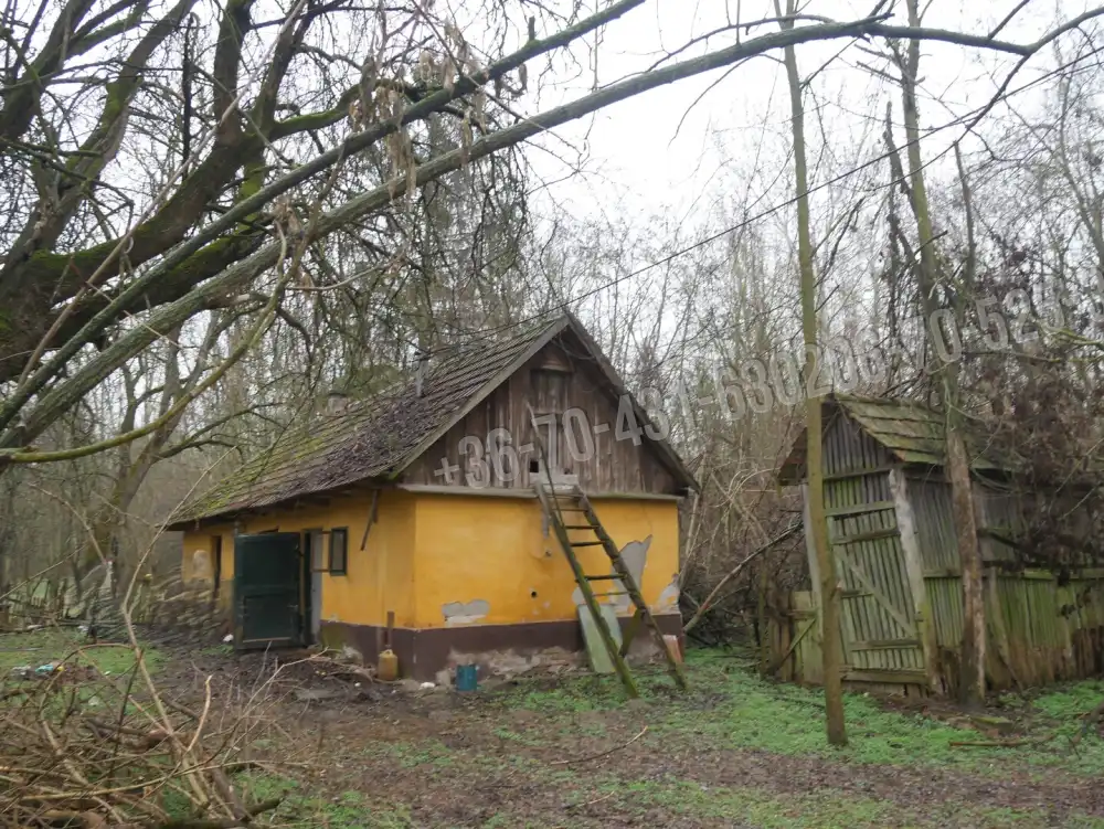 Pest megye - Albertirsa