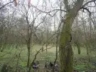 Pest megye - Albertirsa