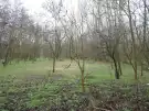 Pest megye - Albertirsa