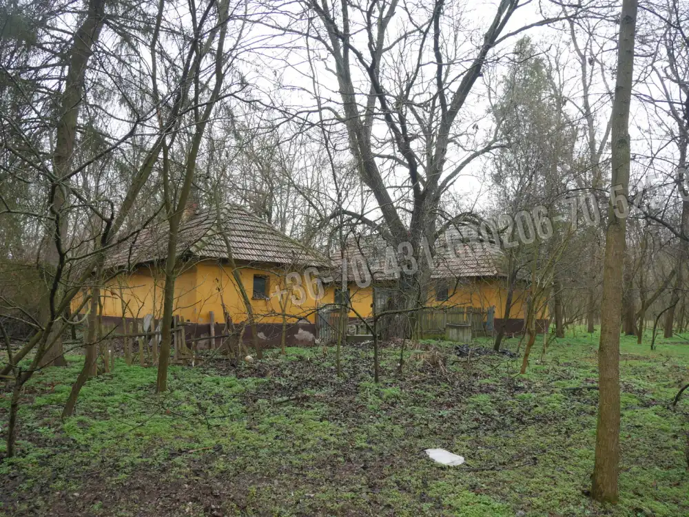 Pest megye - Albertirsa
