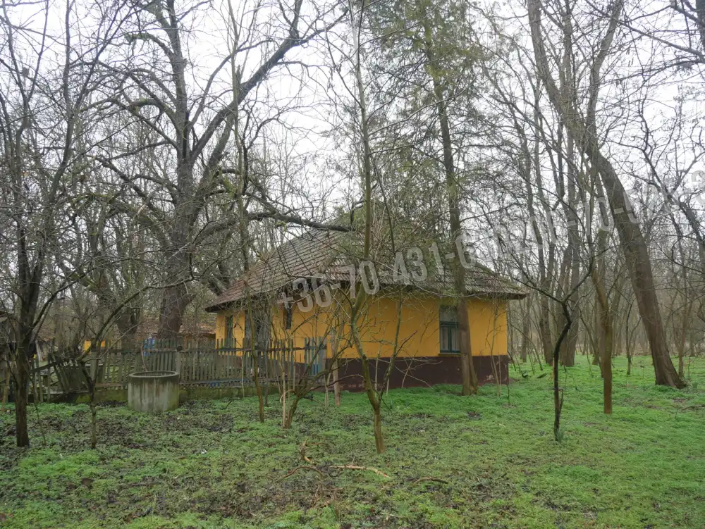Pest megye - Albertirsa