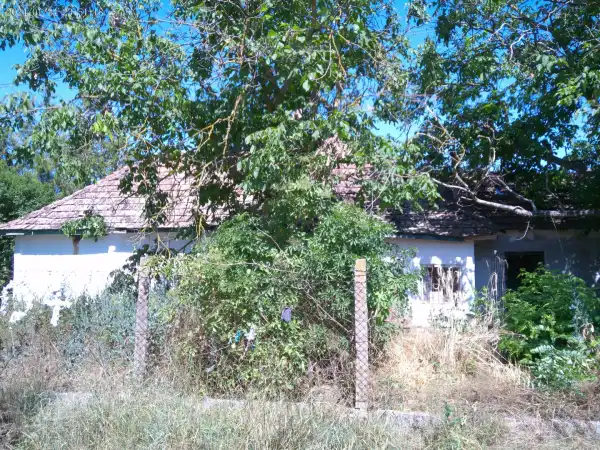 Eladó tanya, Albertirsa 2 szoba 60 m² 7.9 M Ft