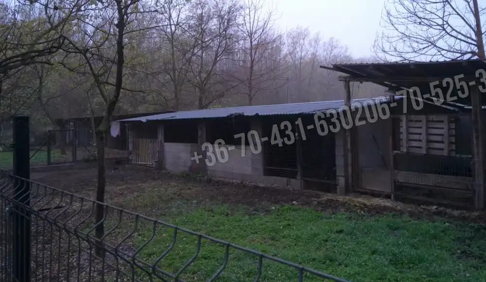 Pest megye - Albertirsa