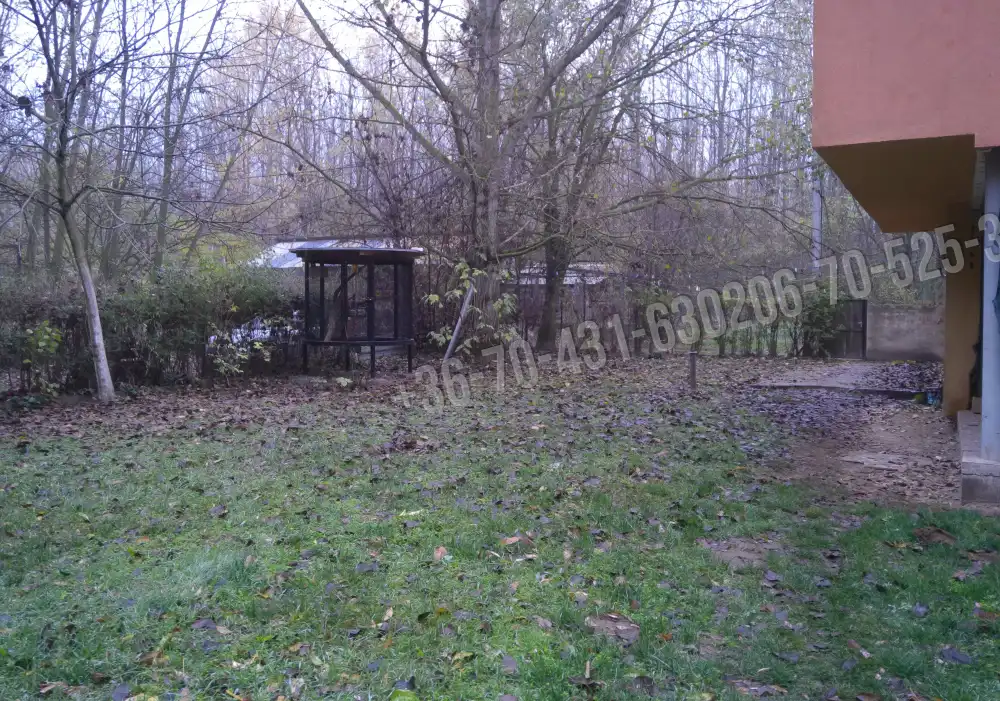 Pest megye - Albertirsa