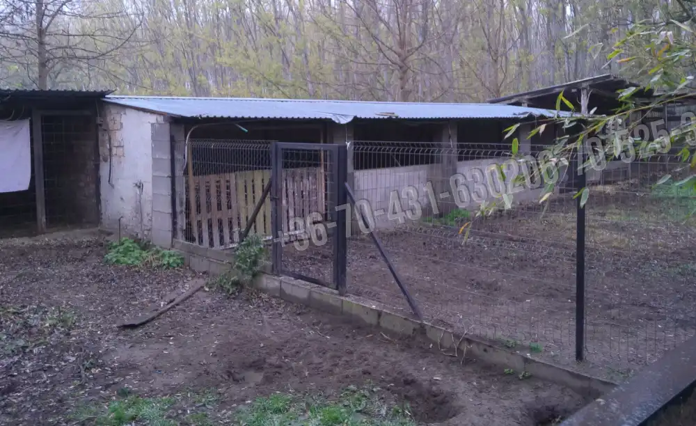 Pest megye - Albertirsa