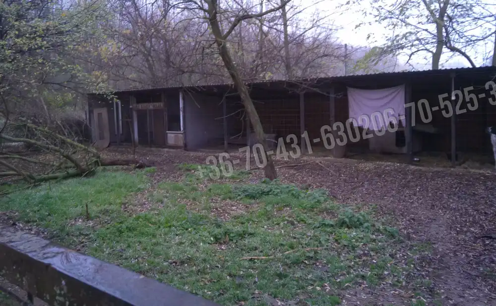 Pest megye - Albertirsa