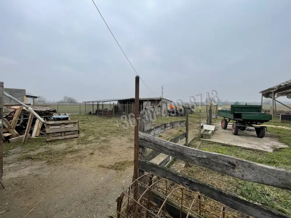 Pest megye - Alsónémedi