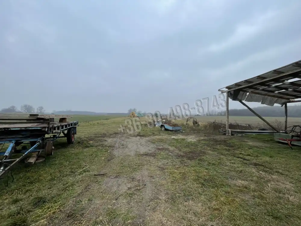 Pest megye - Alsónémedi