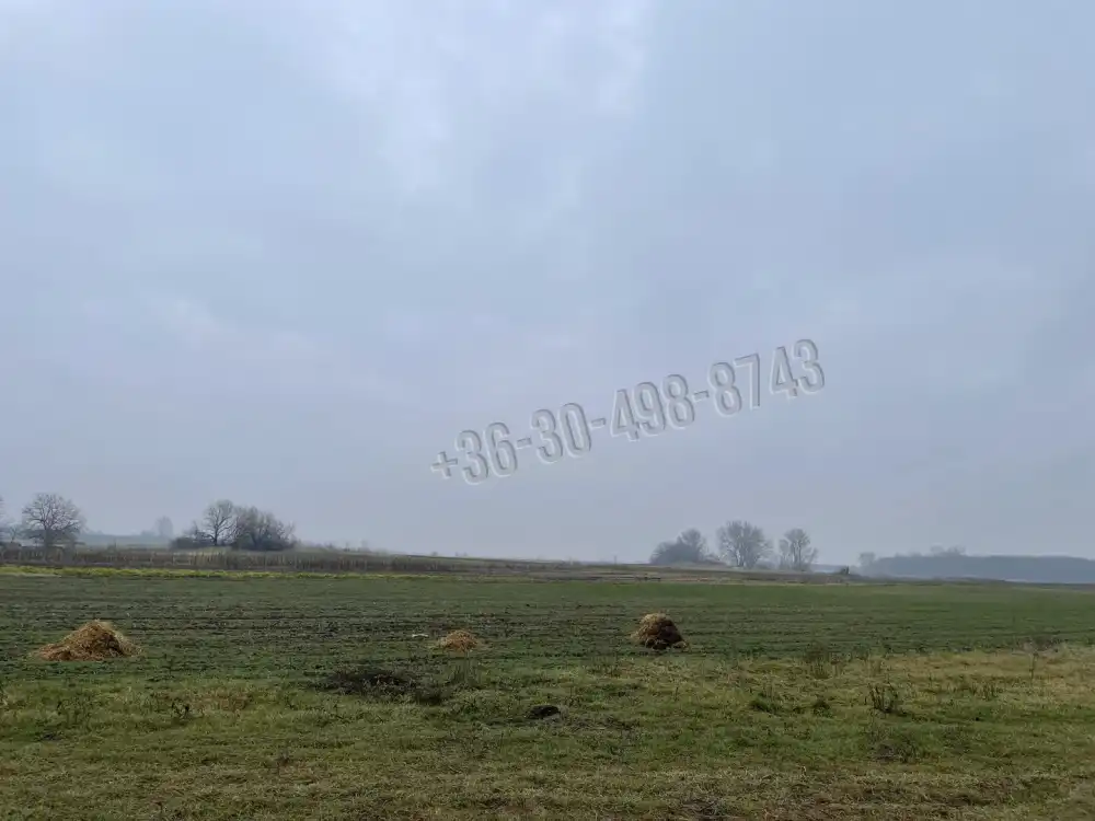 Pest megye - Alsónémedi