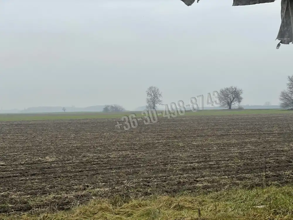 Pest megye - Alsónémedi