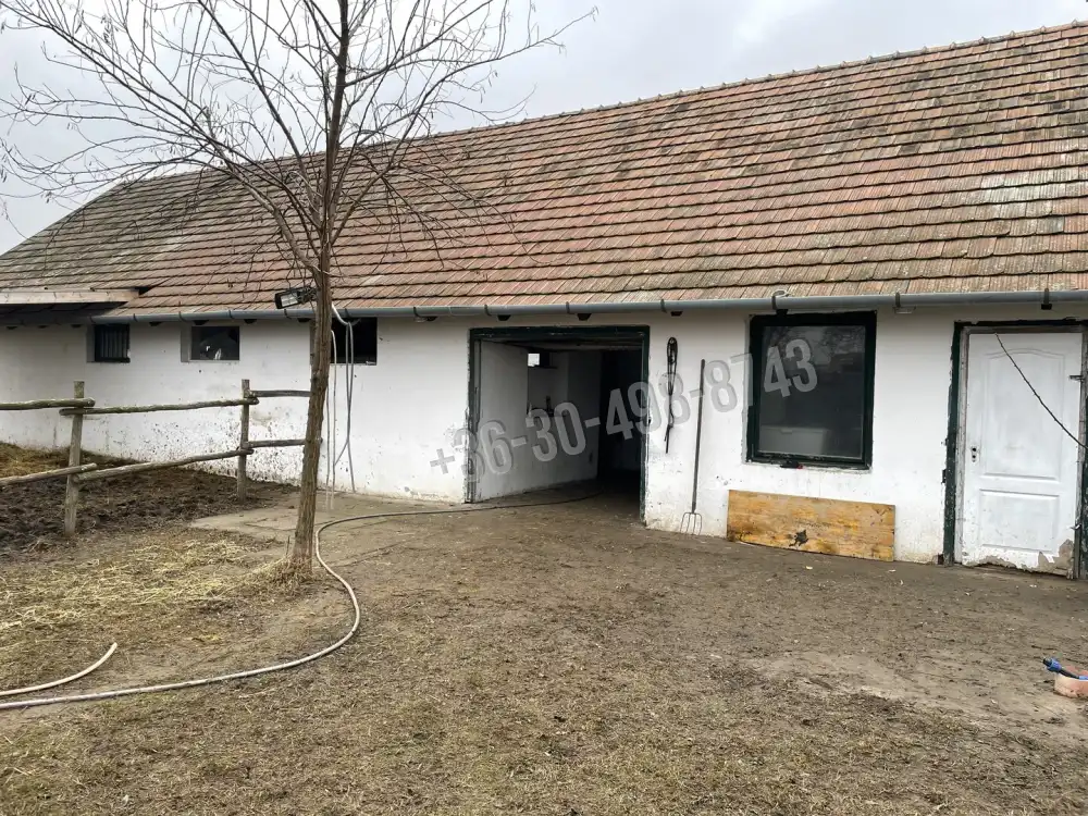 Pest megye - Alsónémedi