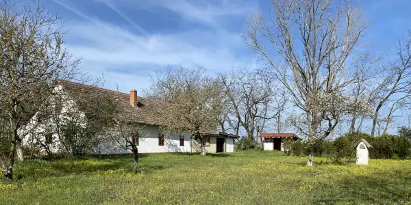 Eladó tanya, Balástya 5 szoba 150 m² 31.99 M Ft