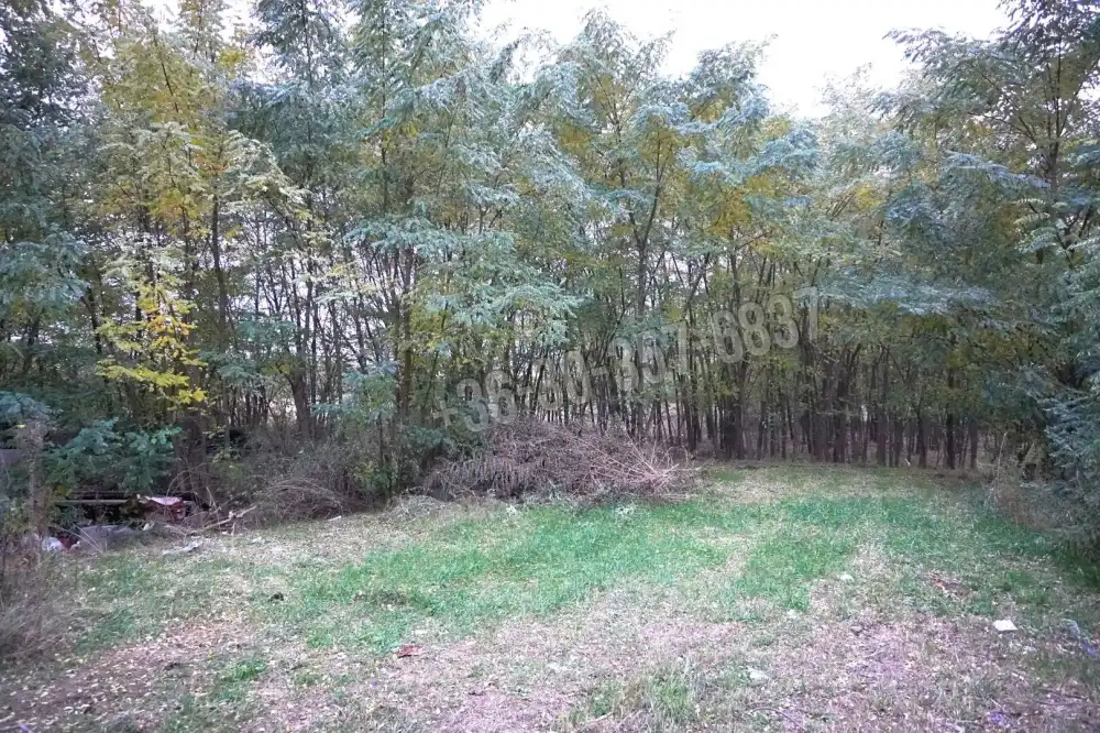 Csongrád megye - Balástya