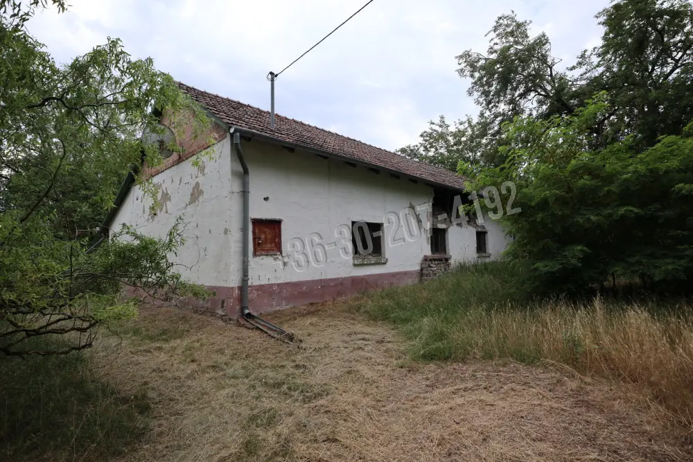 Csongrád megye - Balástya